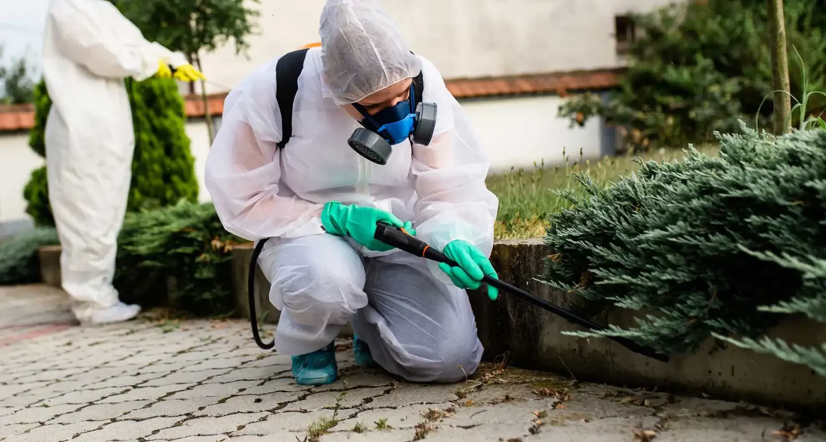 Haşere İlaçlama - Ankara Fare İlaçlama